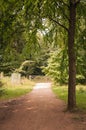 Summertime forests and mountain scenery in the Elan valley of Wales.