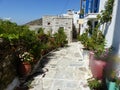 Narrow street with plants in a village inland Naxos in Greece.