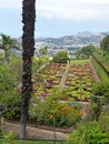 Famous botanical garden in Funchal in Portugal.