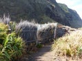 Path along the cliffs to Madeira island in Portugal.