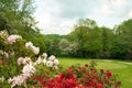 Summertime landscape in the British countryside.