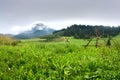 Summertime landscape with dirt road and view at covered with white clouds mount Velky Choc Great Choc in the Slovakia