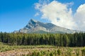 Summertime landscape with forest felling in the foreground against the background of mount the Krivan in mountains High Tatras