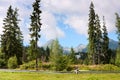 Summertime landscape, girl cyclist rides on the background of mountains High Tatras