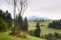 Summertime landscape - view at mount Velky Choc Great Choc in the Slovakia Royalty Free Stock Photo