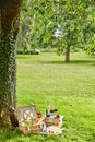 Summertime picnic for two in a lush green park Royalty Free Stock Photo