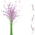 Summertime purple Lavender flower