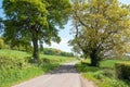 Summertime road and scenery in the English countryside.