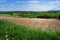 Summertime rural landscape