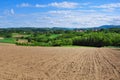 Summertime rural landscape