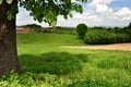 Summertime rural landscape