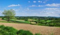 Summertime rural landscape