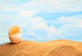 Summertime Seasonal, white yellow seashell on the sandy beach with sunny colorful blue sky background and copy space. Royalty Free Stock Photo