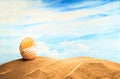 Summertime Seasonal, white yellow seashell on the sandy beach with sunny colorful blue sky background and copy space. Traveling