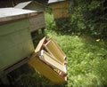 Beehives and honey frames