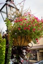 Summertime in a small town, pink flowers on a lamp post.