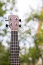 Summertime: Ukulele lying in the grass, park Royalty Free Stock Photo