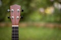 Summertime: Ukulele lying in the grass, park Royalty Free Stock Photo