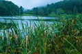 A Summer View of Abbott Lake, Peaks of Otter Royalty Free Stock Photo