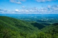 A Summertime View Shenandoah Valley