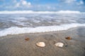 North sea waves ob sand beach with mollusk shells, Holland Royalty Free Stock Photo