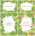 Summery tropical green backgrounds