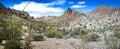 Summit Canyon in the Kofa Wilderness