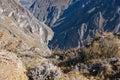 Summit of Colca Canyon in Peru