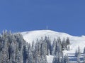 Summit cross of Seekarkreuz mountain, Bavaria, Germany