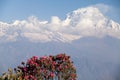 Summit of Dhaulagiri, Annapurna Circuit, Kaski District, Nepal Royalty Free Stock Photo