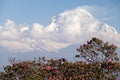 Summit of Dhaulagiri, Annapurna Circuit, Kaski District, Nepal