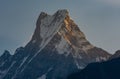 Summit of Machapuchare Fish Tail being hit by first sunshine golden hour, Himalayas Royalty Free Stock Photo