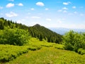 Summit of mountain Grosser Arber, Germany.