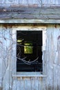 Summit, New Jersey, USA: An abandoned barn overgrown with ivy