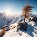 Summit Serenity Snowy Mountain Peak with a View of the Sun-Kissed Valley Below