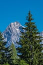 The summit Torstein in Dachstein mountain range in Austria with green pine trees in foreground
