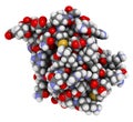 SUMO (Small Ubiquitin-like Modifier, SUMO-1) protein. Attachment of SUMO to proteins is a post-translational modification called Royalty Free Stock Photo