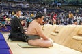 Sumo Tournament Royalty Free Stock Photo