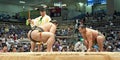 Sumo Tournament Royalty Free Stock Photo