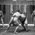 Sumo wrestler fighters tain in sumo stables preparing for sumo tournament held in Tokyo Japan Royalty Free Stock Photo
