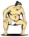 Sumo wrestler fighting stance