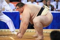 Sumo wrestler ready to attack Royalty Free Stock Photo