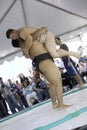 Sumo Wrestlers 10 Royalty Free Stock Photo