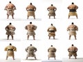 sumo wrestlers seen from behind on a white background