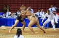 Sumo wrestling Royalty Free Stock Photo