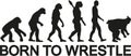 Sumo wrestling evolution born to wrestle