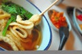 Sumptuous looking Japanese udon with fish cake