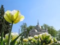 Carved wooden roof of Altanka against the background of white tulips in Sumy