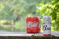 Budweiser Bud beer cans on old wooden table outdoors at the river and green trees background Royalty Free Stock Photo