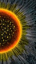 The Sun as a Computer Circuit Futuristic Tech Concept Royalty Free Stock Photo